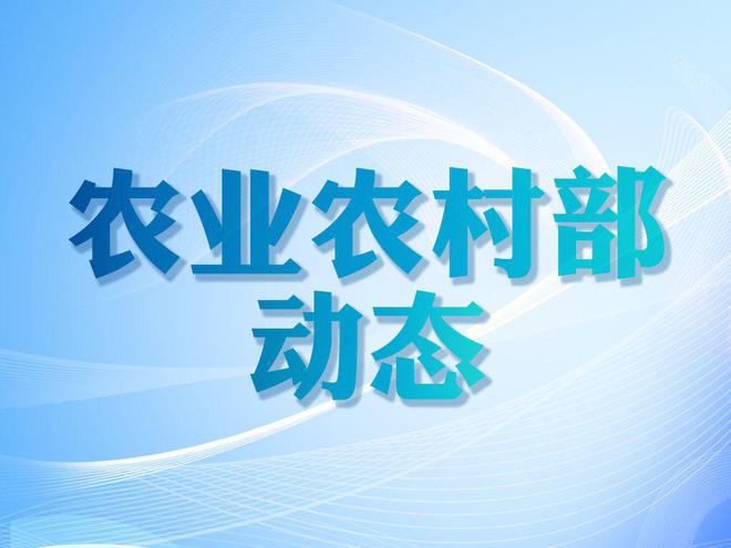 深入学习践行大农业观大食物观 扎实推进构建多元化食物供给体系